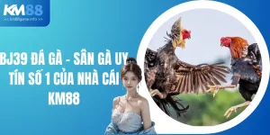 BJ39 Đá Gà - Sân Gà Uy Tín Hàng Đầu Của Nhà Cái KM88