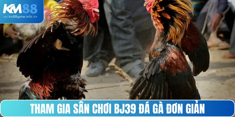 Tham gia sân chơi BJ39 đá gà cực kỳ đơn giản