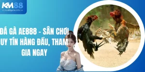 Đá Gà AE888 - Sân Chơi Uy Tín Hàng Đầu, Tham Gia Ngay