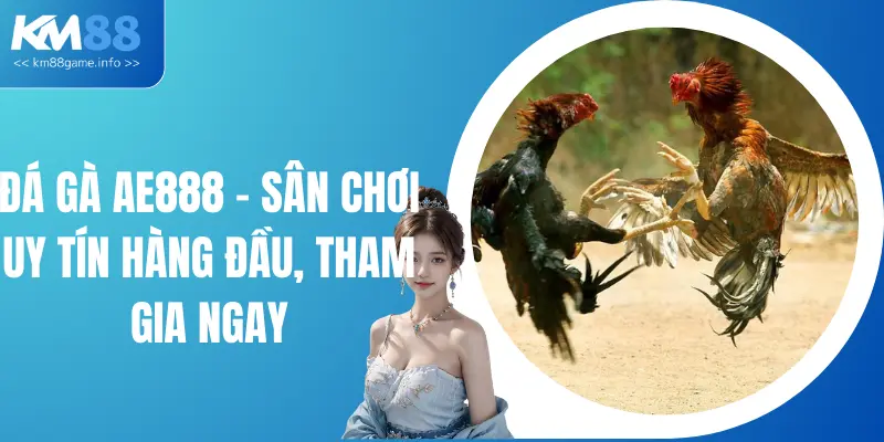 Đá Gà AE888 - Sân Chơi Uy Tín Hàng Đầu, Tham Gia Ngay