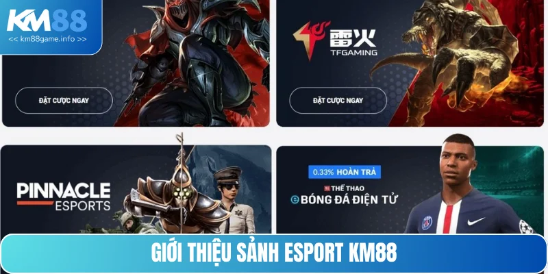 Khái quát thông tin thú vị về sảnh cược esport KM88