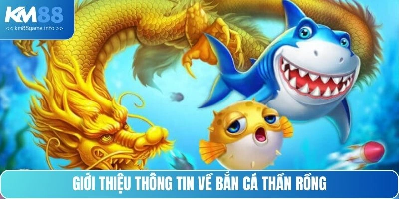 Giới thiệu thông tin về bắn cá Thần Rồng
