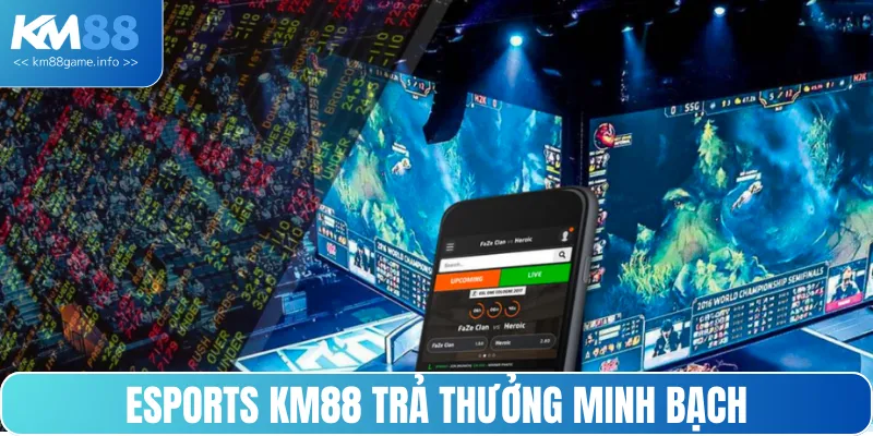 Hãy yên tâm trước tốc độ trả thưởng nhanh chóng của KM88