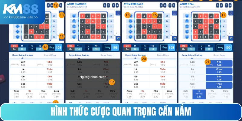 Các hình thức đặt cược khi chơi quay số Atom