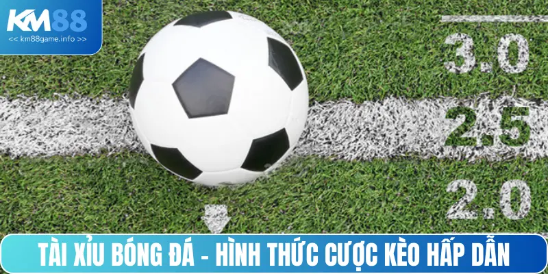 Tài xỉu bóng đá - Hình thức cược kèo hấp dẫn