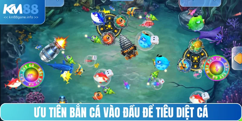 Ưu tiên bắn vào đầu để tiêu diệt cá